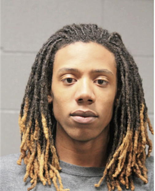 ENRIQUE C HOLLINS, Cook County, Illinois