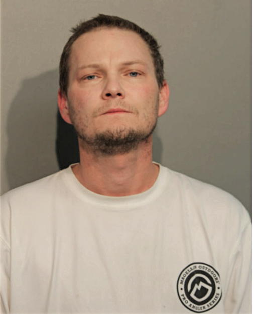 DAVID L KRAMER, Cook County, Illinois