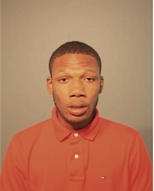 MICHAEL S LEWIS, Cook County, Illinois
