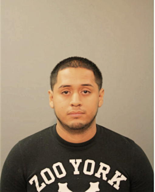 LUIS R LOPEZ, Cook County, Illinois