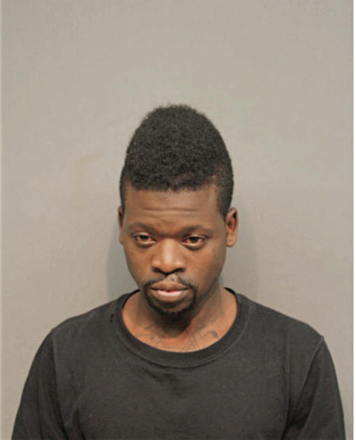 DARRIN G LOVELESS, Cook County, Illinois