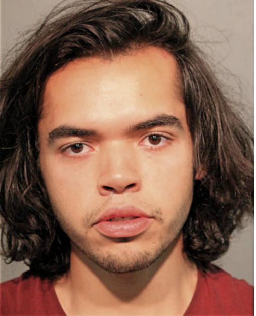 CHRISANTHONY R MAYORGA, Cook County, Illinois