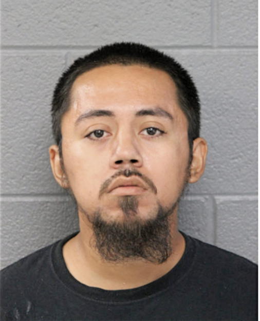 GUSTAVO MENDOZA, Cook County, Illinois