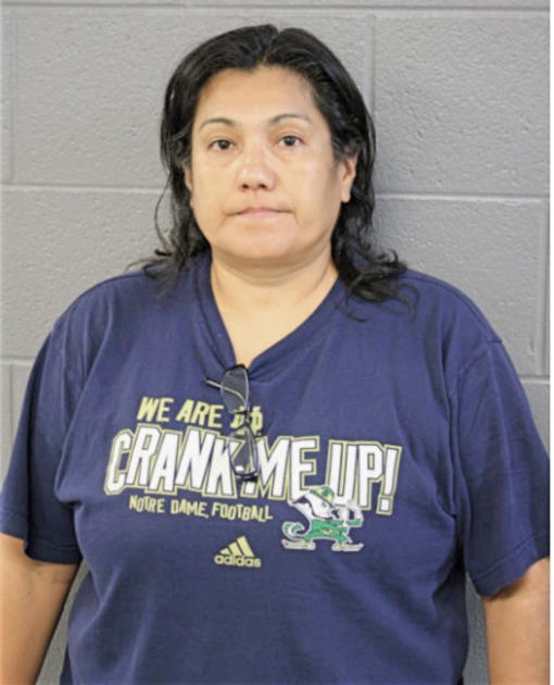 ALMA R MEZA, Cook County, Illinois