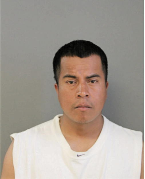 CARLOS MIJANGOS, Cook County, Illinois