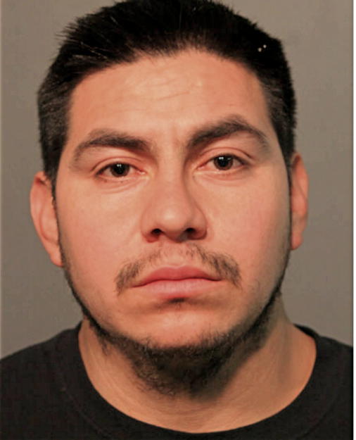 APOLINAR NAVARRO-ALVAREZ, Cook County, Illinois