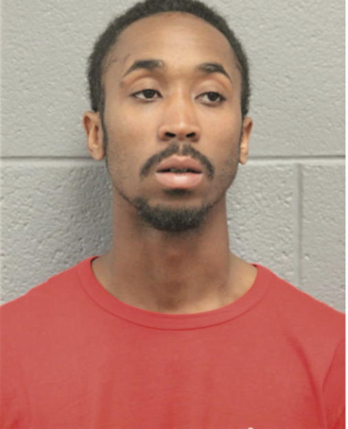 BRANDON L NICHOLS, Cook County, Illinois