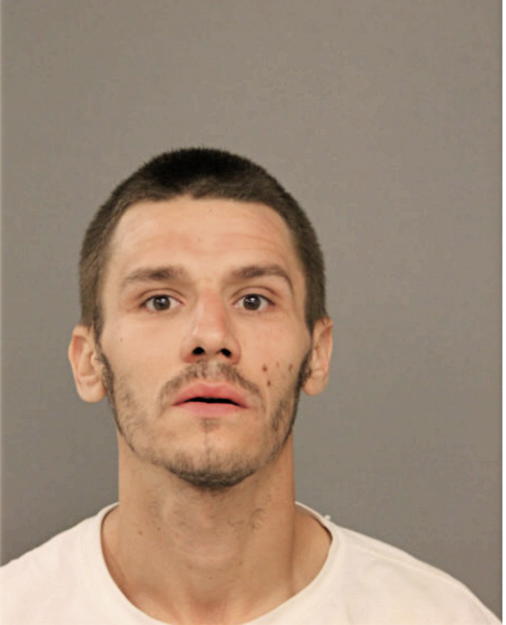 STEPHEN E NORMAN, Cook County, Illinois