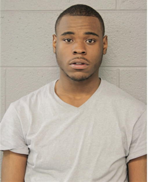 CHRISTIAN T NORTON, Cook County, Illinois