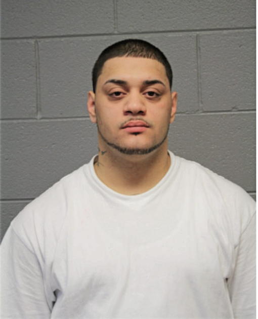 NICHOLAS D ORTIZ, Cook County, Illinois