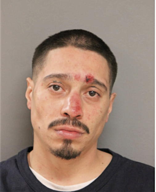 ANGEL ROMAN, Cook County, Illinois