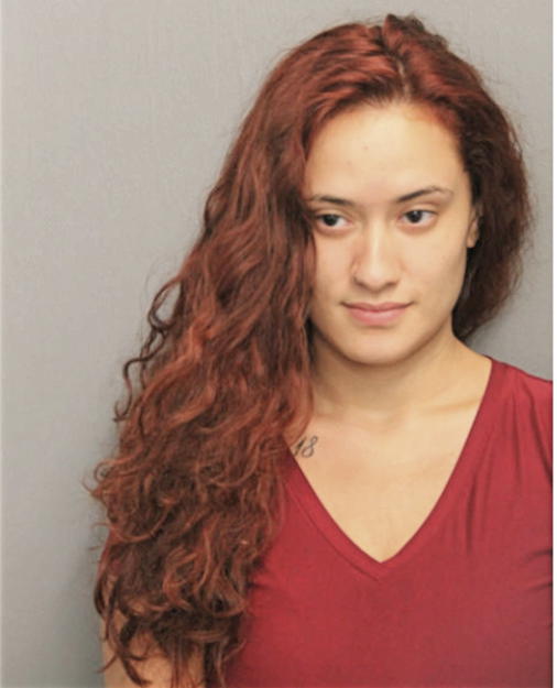 MELISA A SANTIAGO-RUIZ, Cook County, Illinois