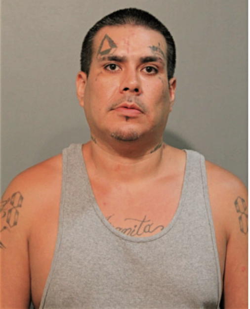 ROY VEGA, Cook County, Illinois