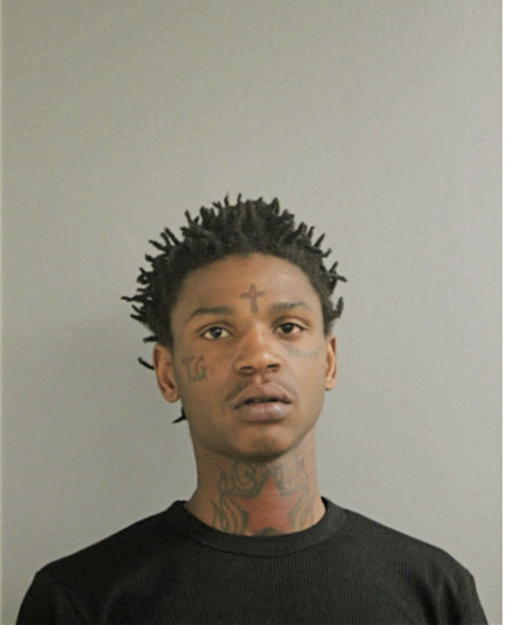 RONNIE JR WEST, Cook County, Illinois