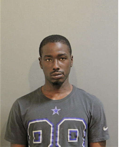 CHRISTOPHER J WILLIAMS, Cook County, Illinois