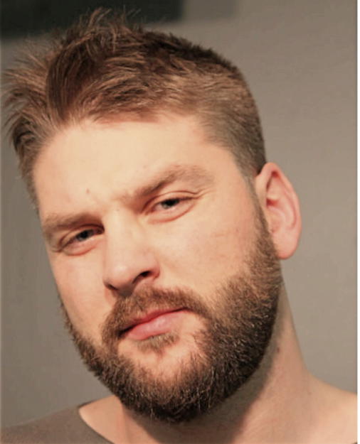MARKO ZELENOVIC, Cook County, Illinois