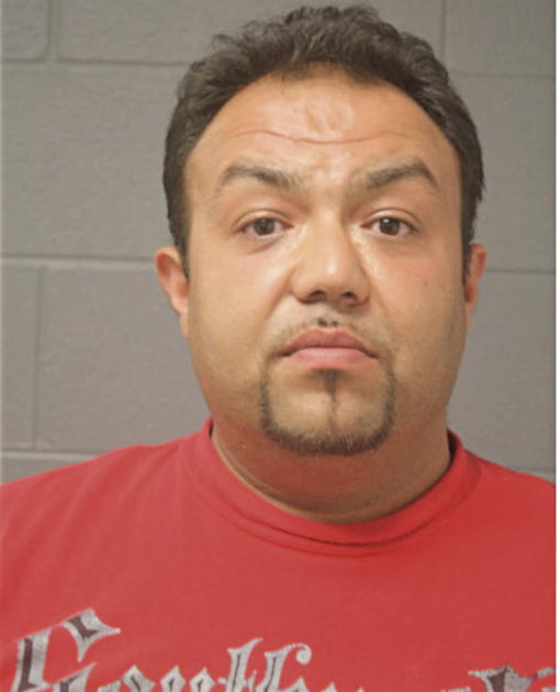 RICKY C ZIKO, Cook County, Illinois