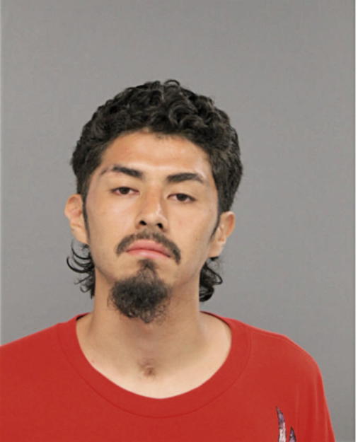JOSE E ABEJA, Cook County, Illinois