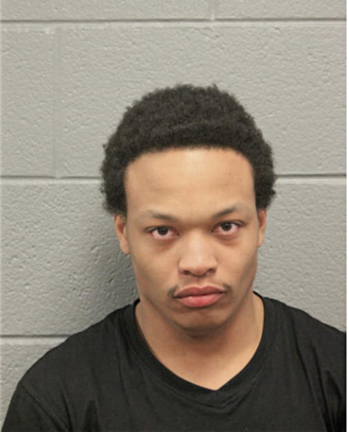 DAVID L ABRAHAM, Cook County, Illinois