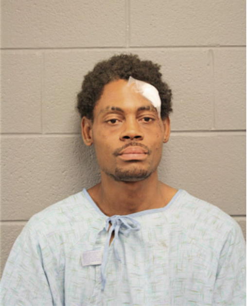 DONYELL AMECHIE AUSTIN, Cook County, Illinois
