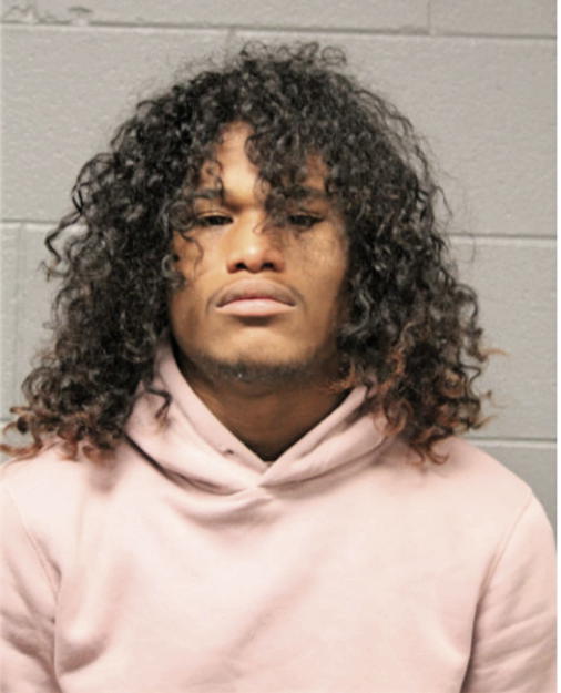 IAN M BREWSTER, Cook County, Illinois