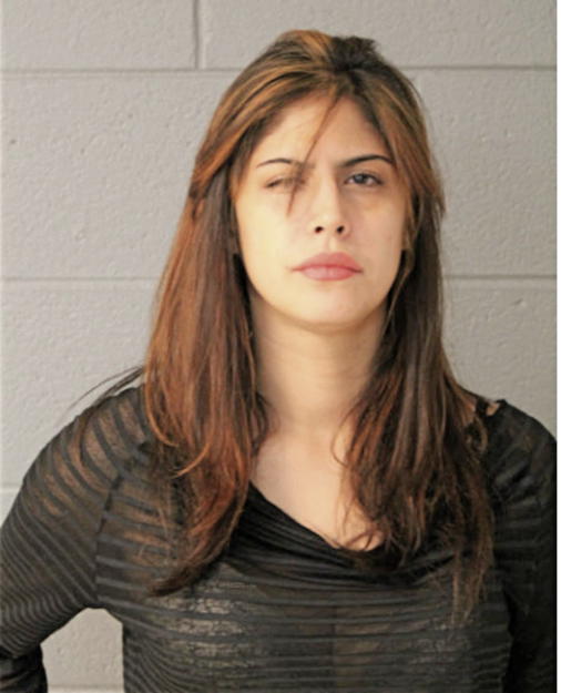 JACQUELINE R FERNANDEZ, Cook County, Illinois
