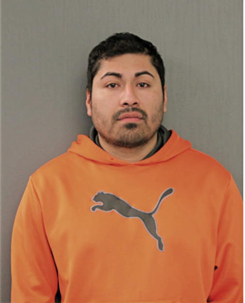 ALFREDO FLORES-RAMIREZ, Cook County, Illinois