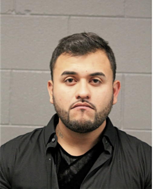 DAVID G GOMEZ, Cook County, Illinois