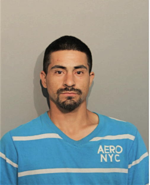 JULIO GONZALEZ, Cook County, Illinois