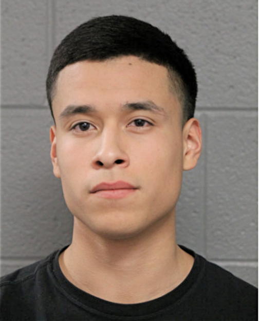 JESSIE GUZMAN, Cook County, Illinois