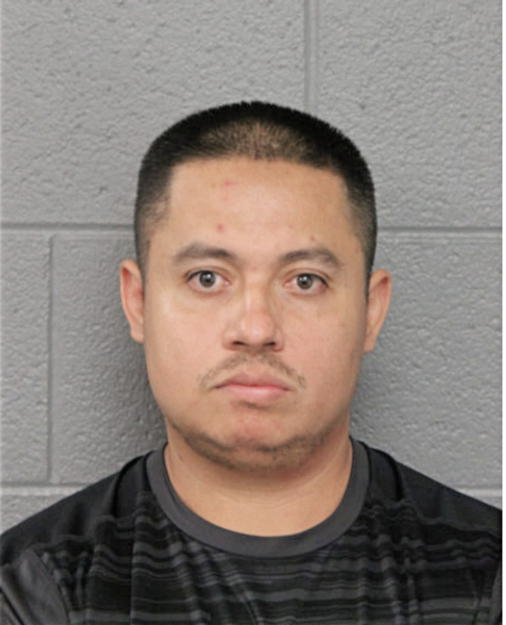 RAMIRO GUZMAN-ZAMUDIO, Cook County, Illinois