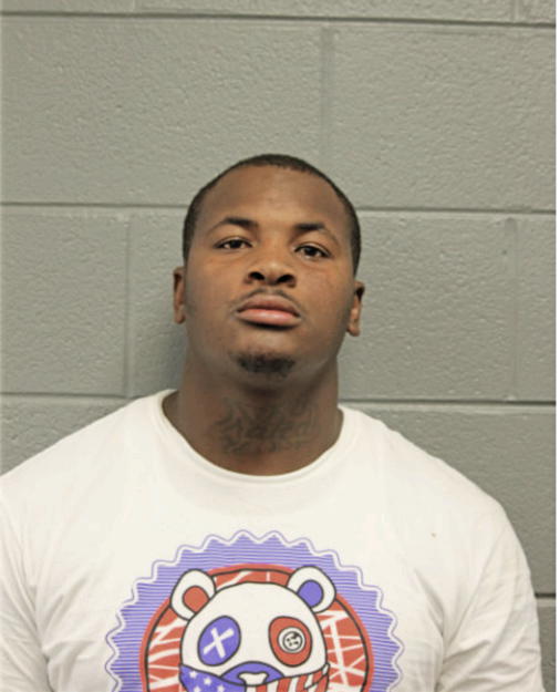 TERRANCE L JOHNSON, Cook County, Illinois