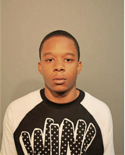 ERIC L WILSON, Cook County, Illinois
