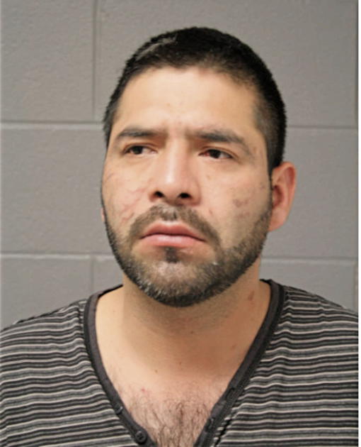 JESUS LAGUNAS, Cook County, Illinois