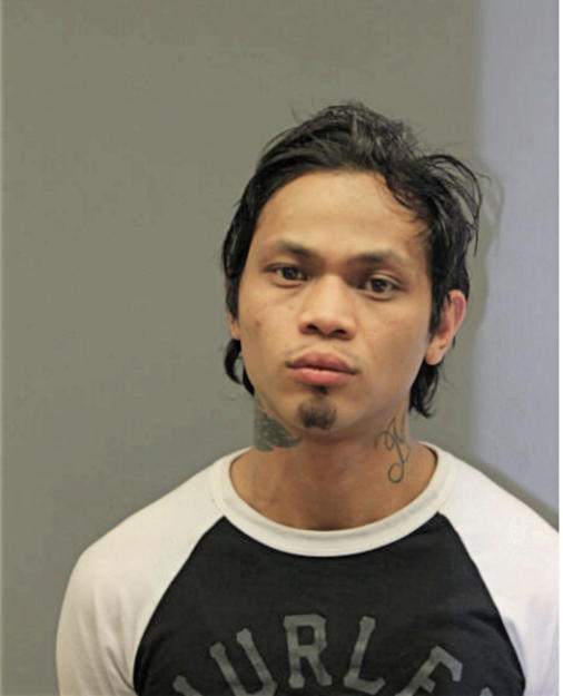 CHRIS J LEVY, Cook County, Illinois