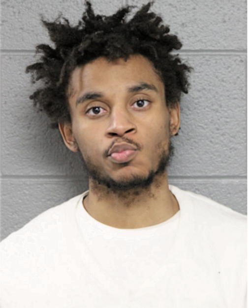 CHRISTOPHER A LEWIS, Cook County, Illinois