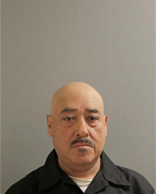 ANDRES MELLADO, Cook County, Illinois