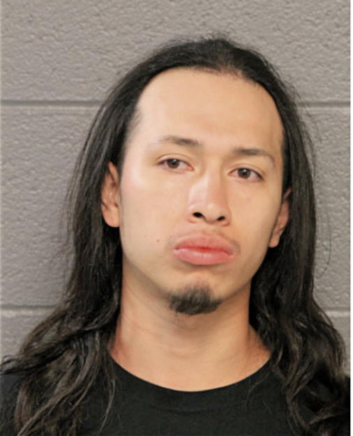 ERIK MENESES, Cook County, Illinois