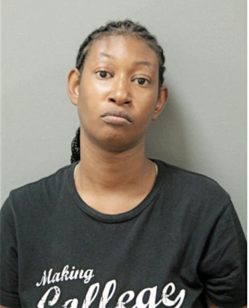 CHRISTINE N NORMAN, Cook County, Illinois
