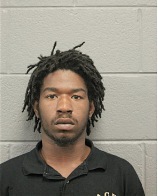 MICHAEL D RODGERS, Cook County, Illinois