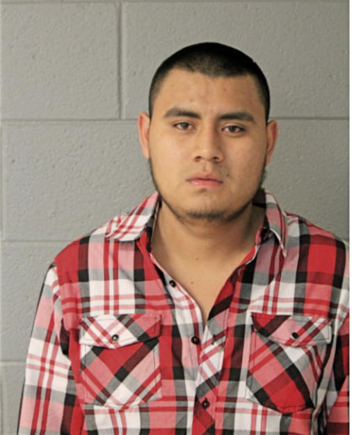 CASTRO E ROMAN, Cook County, Illinois