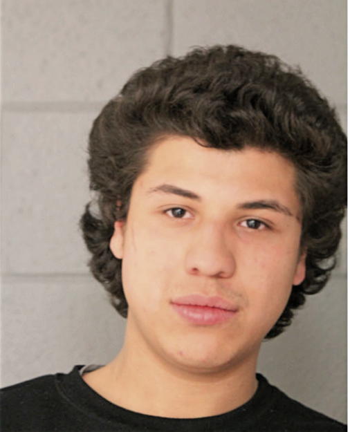 ALFREDO SANTANA-GUZMAN, Cook County, Illinois