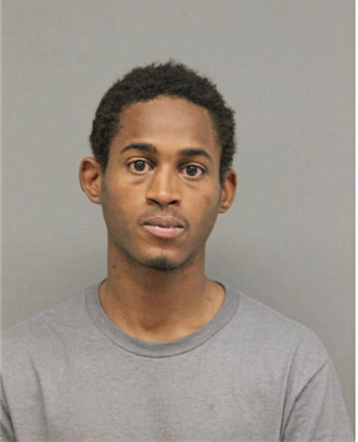DIONTE L VAUGHNS, Cook County, Illinois