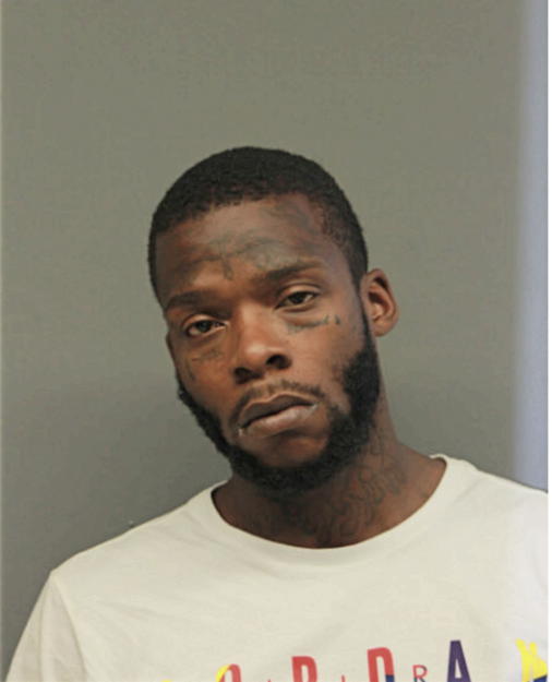 BRIAN J WILLIS, Cook County, Illinois
