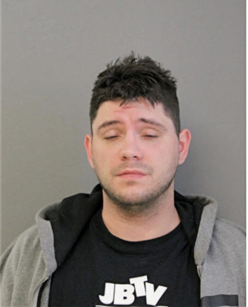 ANTHONY J BORKOWSKI, Cook County, Illinois