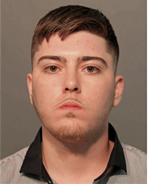 RICARDO CAMARENA, Cook County, Illinois