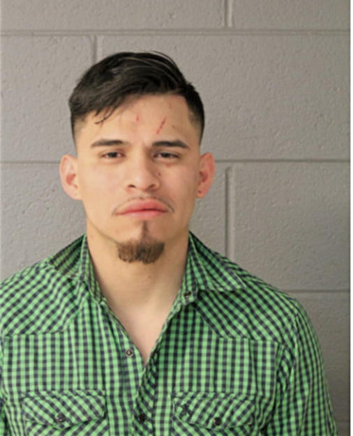 JUAN CORTES, Cook County, Illinois