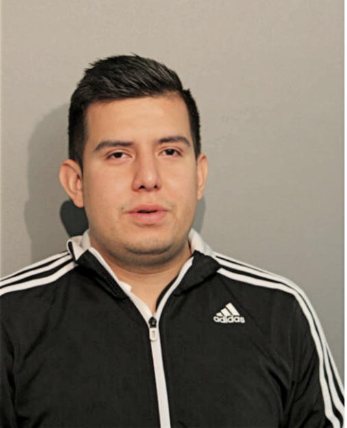 BRYAN S GALINDO, Cook County, Illinois
