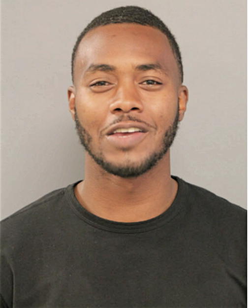 ALAN L JACKSON, Cook County, Illinois