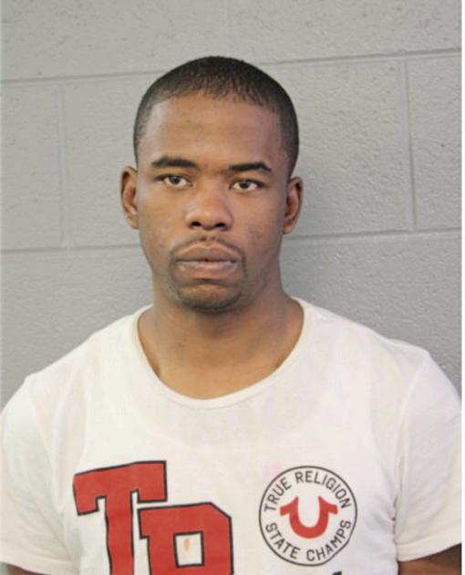 ANTHONY L JOHNSON, Cook County, Illinois